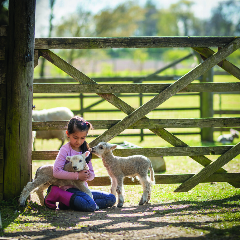 02 INTERLUDE-GettyImages-1331498384