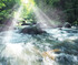 The Christian Science Journal