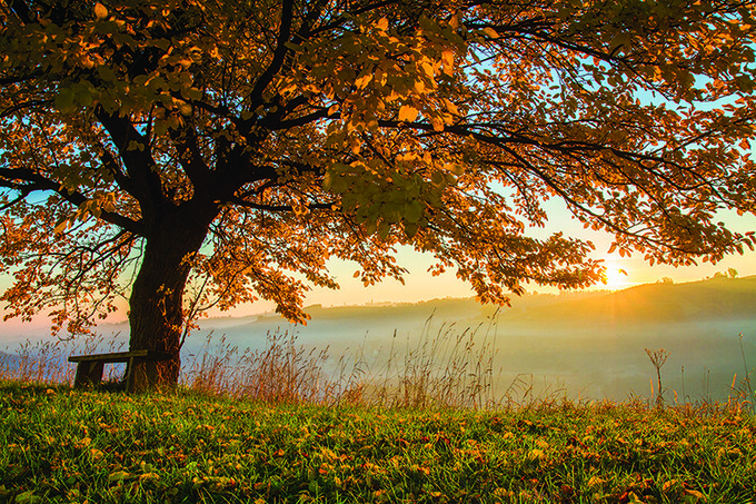 September__Interlude