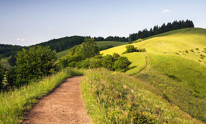 Healing the unhealed
