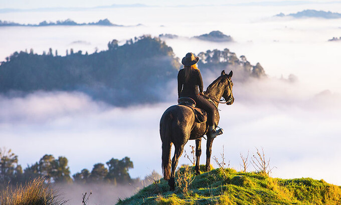 Clearing away the fog  
