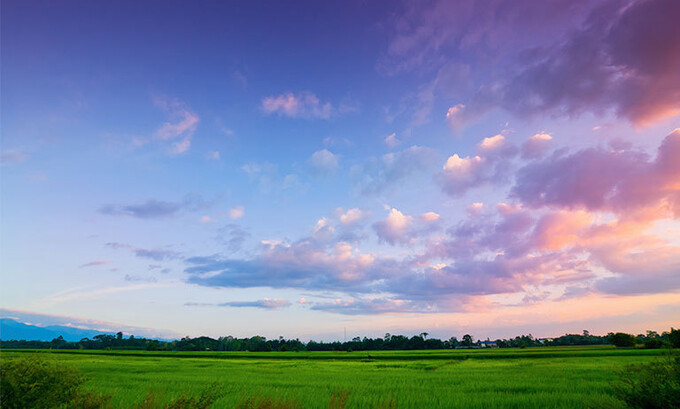 Symptoms of illness disappear when fear is conquered
